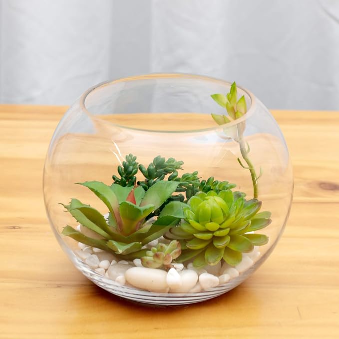 WGV Bowl Glass Vase, Diameter 10", Height 8", Open Width 6", (Multiple Sizes Choices) Clear Bubble Planter Terrarium Fish Bowl for Wedding Event Home Decor, 1 Piece (VBW0010)