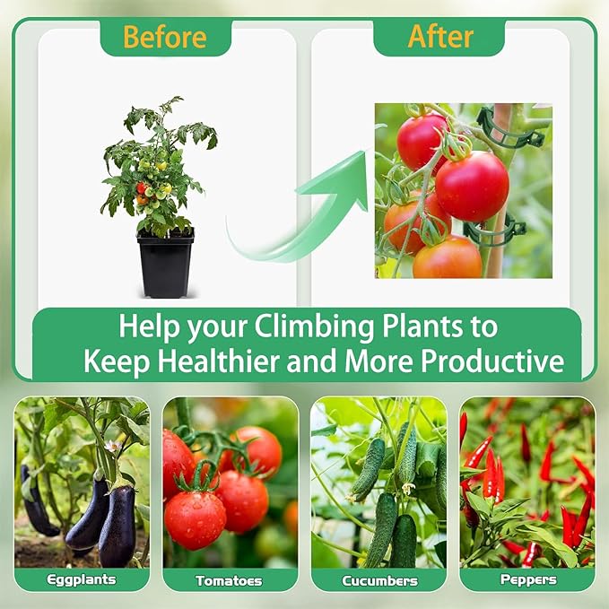 Tomato Clips for Climbing Plants, 100 Pcs Reusable Plastic Tomato Clips Clear, Tomato Trellis Clips for Plants Support, Secured Plastic Plant Clip for Tomatoes Vines Climbing Supplies