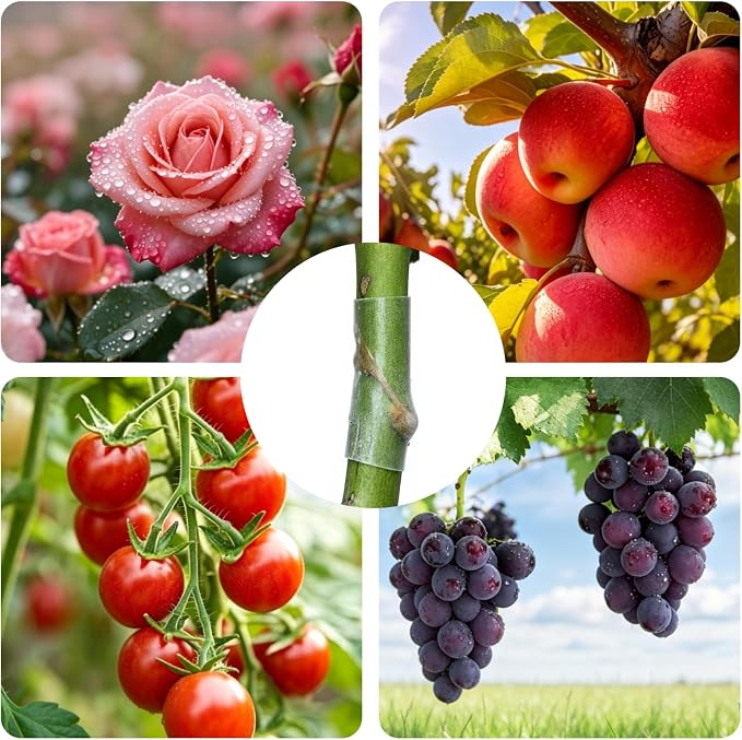 150 Pcs Grafting Tool, Tree Grafting Kit, Grafting Tape for Fruit Trees, 3-7.5mm Buddy Tape for Plant Propagation, Durable Grafting Supplies for Gardeners