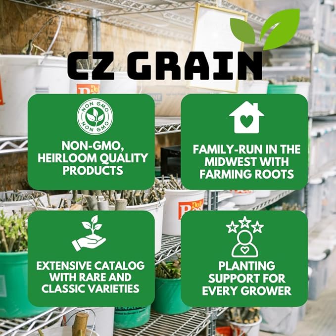 Seed Vault Kit β 30 Variety Heirloom Garden Seed Packets β 16,000+ Non-GMO Seeds for Planting β Survival Garden Starter Set β 30 Plant Markers Included