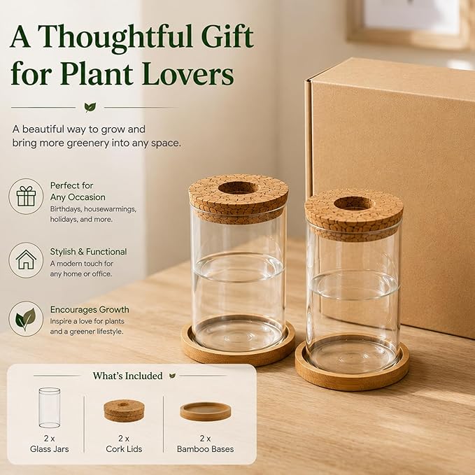Glass Plant Propagation Stations, 2PCS Hydroponic Vases with Wooden Lid and Bamboo Stand for Plant Growing, Home & Office Decor