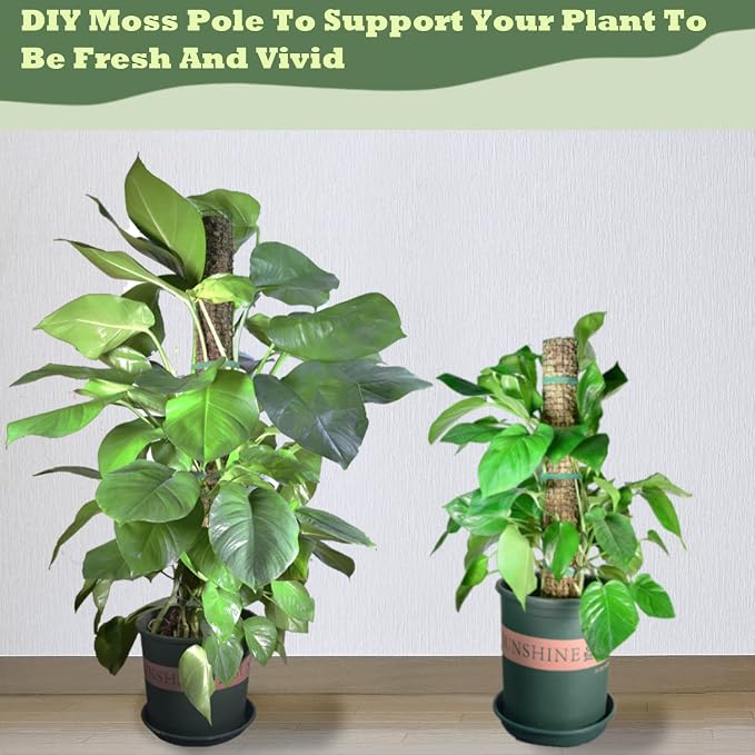 Moss Pole DIY Kit, 13.2ft Metal Moss Pole for Plants Monstera, 4Pcs 8.3in×3.3ft Steel Moss Pole Mesh with Plier, Cable Ties, Sphagnum Moss Pole (13.2ft Wire Mesh with Plier)