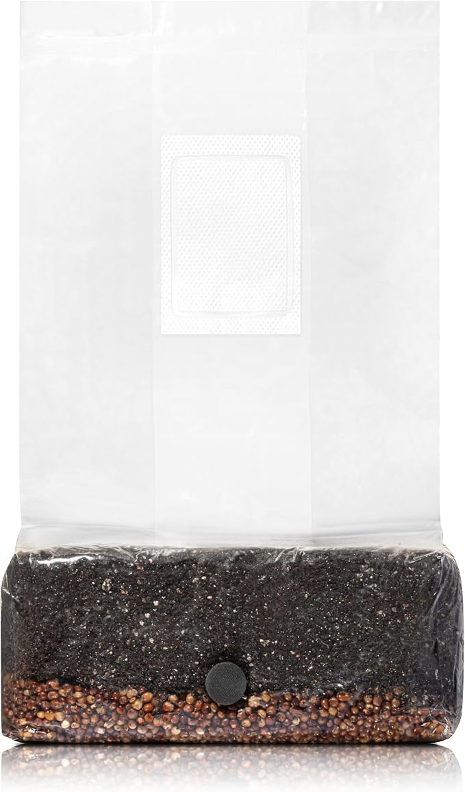 SPORE SORCERY 4 LB All-in-One Grow Bag: Up to 32oz of Mushrooms! Nutrient-Enhanced, Injection Port, Just Add Your Own Spores & Grow Like Magic (4 LB Bag)