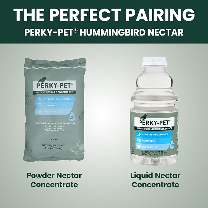 Perky-Pet 203CPBN Glass Hummingbird Feeder for Outdoors with Perches, Ant Moat, Bee Guards - Pack of 1