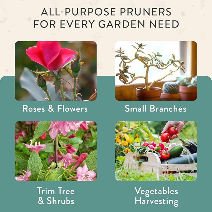 Modern Sprout Hand Pruners - Lightweight Pruning Shears W/Easy Lock- Gardening Scissors - Bypass Sharp Carbon Steel Blade - Rust Resistant - Garden Tools -Reusable Holster -Gift for Father's Day-Ocean
