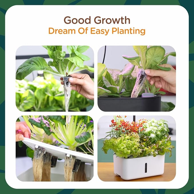 70 Count Grow Sponge Hydroponic Refill, Hydroponic Sponge Seed Starter Plug, Pre-Drilled Hydroponic Pod for Seeds, Cuttings, Herbs, Lettuce, Indoor Garden Growing System