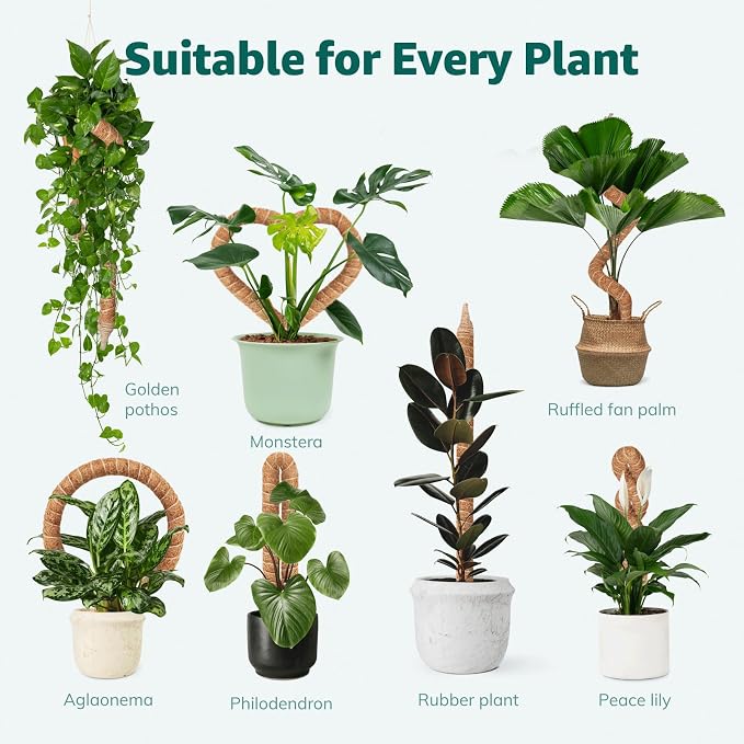 Monstera Moss Pole, 35in Bendable Bendable & Sturdy Plant Stakes for Monstera, Indoor Plant Tools, Pothos Vines, Philodendron, Fishbone Cactus & Indoor Tropical Houseplants, Coco Coir