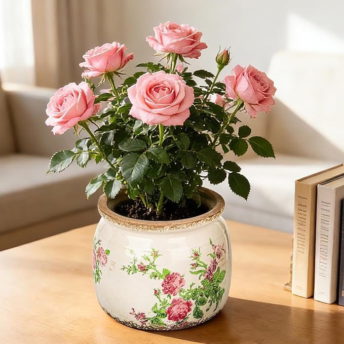 Sungmor Set of 2 Farmhouse Ceramic Planters with Drainage Hole,Vintage Crackle Glaze Flower Pots, Tuscan Decor Pots for Indoor/Outdoor Herbs,Succulents and Small Flowers