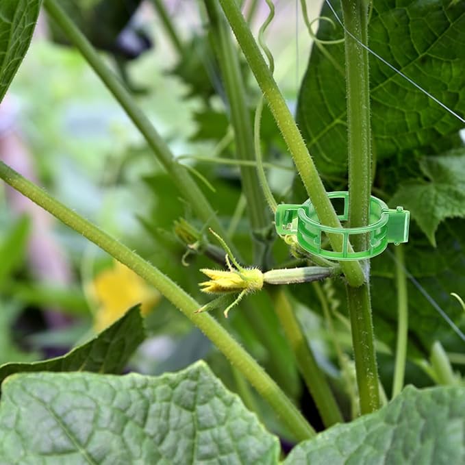 300 PCS Secured Plastic Plant Clip 2025 New Plant Support Clips Tomato Trellis Crop Clip for Plant Vegetables Fruit Flower (Green)
