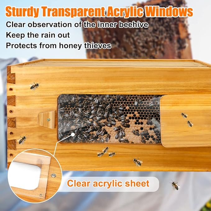 BeeCastle 10 Frame Deep Bee Hive Box, Langstroth Beehive Boxes Dipped in 100% Natural Beeswax with Window, Beehive Frames and Beeswaxed Foundations (Unassembled)