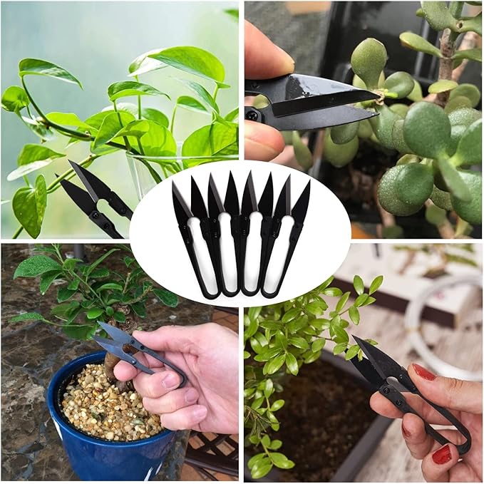 Bonsai Pruning Scissors 12PCS - Small Pruning Shears Bud Leaves Trimmer Garden Shears for Plants, Gardening Clippers for Flower Bonsai Trimming Pruners