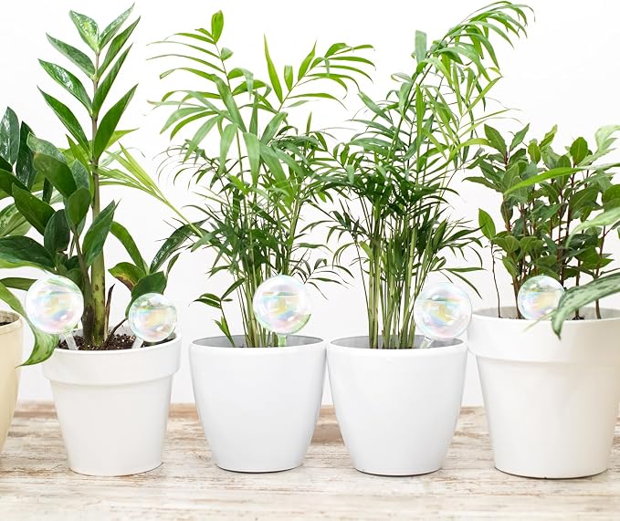 Pynqdfu 6Pcs Plant Watering Globes,Iridescent Rainbow Glass Self Watering Planter Insert,Clear Watering Bulbs for Indoor,Outdoor,Flowerpot,Hanging Plants,Home Garden(3 Large+3 Small)