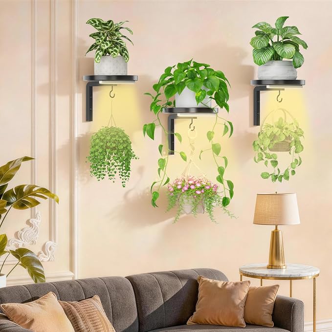 iDavosic.ly Wall Plant Holder with Grow Lights Set of 3 for Indoor Outdoor, Metal Hanger with 2 Hooks, Floating Flower Display Stand for Window, Space Saving & Easy to Assemble (Pots Not Included)