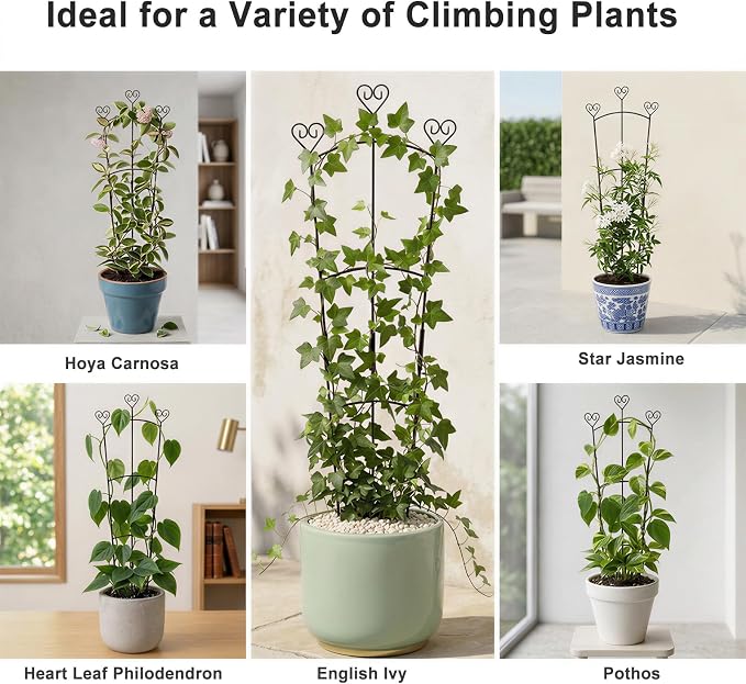 31.5 Inch Trellis for Potted Plants, Metal Plant Trellis for Climbing Plants, Plant Support for Ivy, Monstera, Hoya, Indoor & Outdoor Houseplant Trellis, Black, 1 Pack