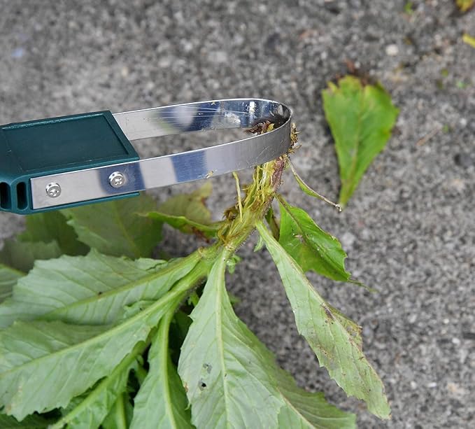 Home-X Weeding Tool for Gardening and Yard Work, Weed Cutter/Remover, Garden Accessory