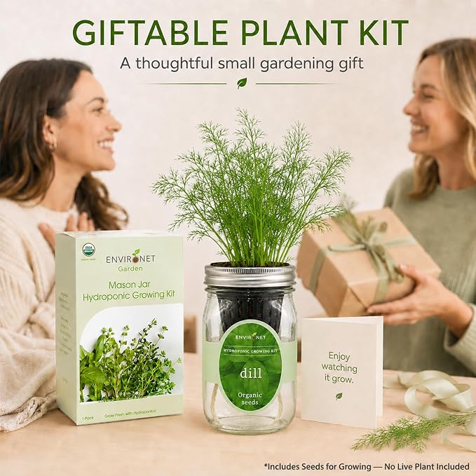Hydroponic Herb Growing Kit, Self-Watering Mason Jar Herb Garden Starter Kit Indoor, Windowsill Herbs Garden, New Christmas Grden Gift for Mom (Dill)