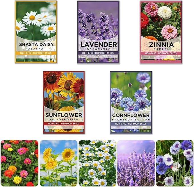 Meekear 5 Kit - Growing into Shasta Daisy, Cornflower, Sunflower, Zinnia, Lavender for Indoor Outdoor Garden DIY Gifts