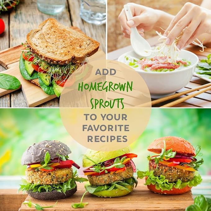 Handy Pantry Organic Sprouting Seed Assortments - Microgreens, Sprout Seeds Variety Pack (12 Pack - Premeasured)