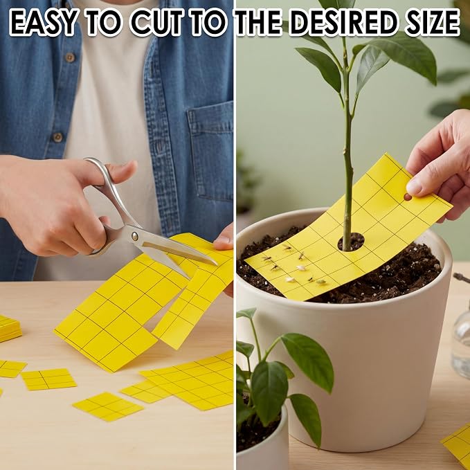 Qualirey 50 Pcs Sticky Trap for Gnats 3 x 5'' Dual Side Sticky Fruit Fly Trap with Tie Plant for Flying Insect Fungus Bugs Flying Catcher for Indoor (Yellow)