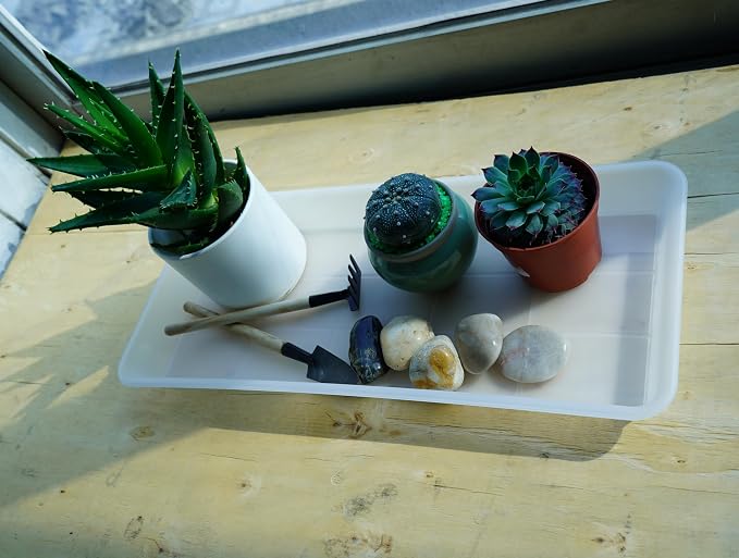 VUWEZ 6 Pack Plastic Plant Saucer, Rectangular, Indoors Outdoor, Drip Tray for Flower Pot, Windowsill (6 X 11 Inch, Clear)