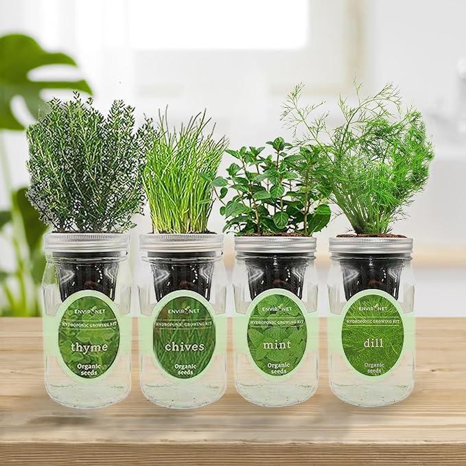 Mint, Chives, Thyme & Dill Mason Jar Herb Garden Kit, Fresh Savory Herb Collection, 4 Pack Indoor Hydroponic Growing Kit