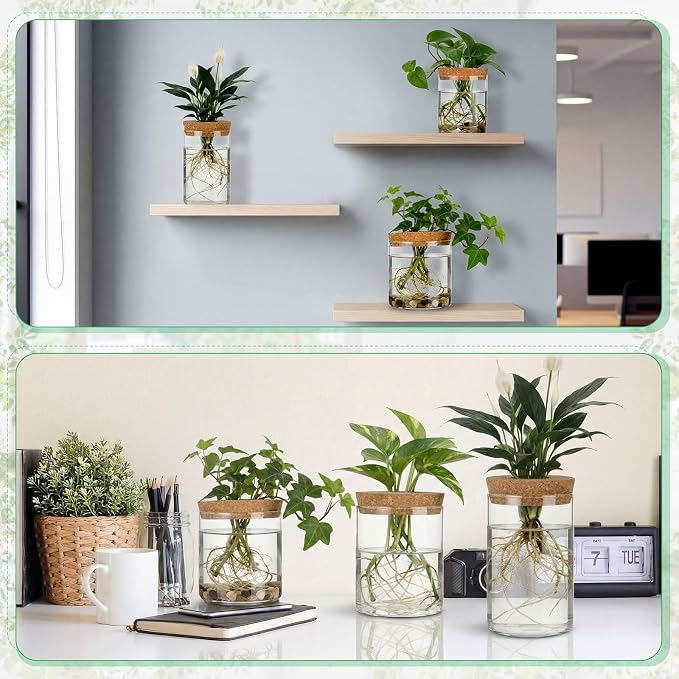 6 Pcs Glass Plant Propagation Stations (2 Large + 2 Medium + 2 Small) Hydroponic Flower Vases Desktop Plant Terrarium Jar for Cuttings, for Living Room, Bedroom, Home Decoration