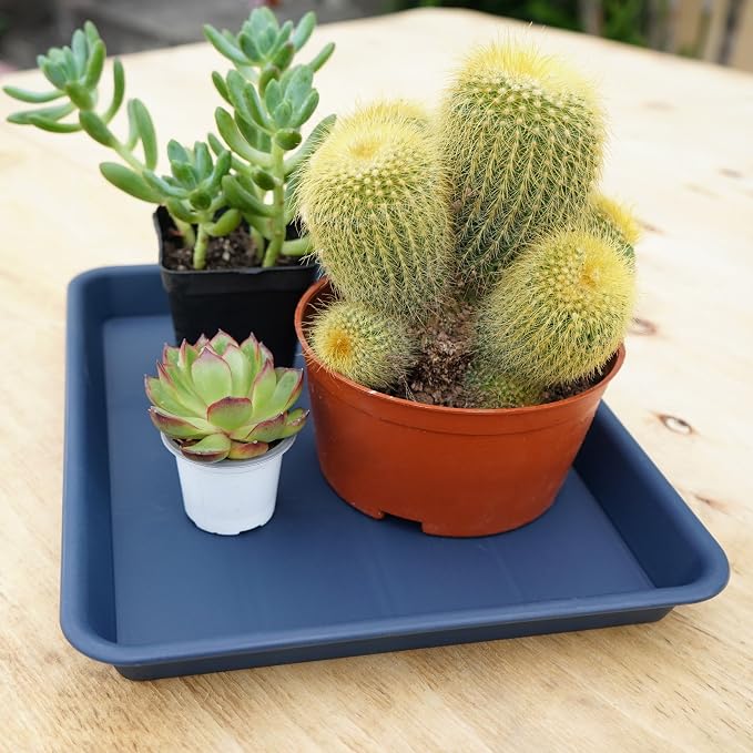 VUWEZ Rectangle Plant Tray, Plant Drip Tray, Plant Pot Saucers, Plant Germination Trays, Plant Saucers, 17.5'' x 10.6'' x 1.5'' (2 pack), Blue