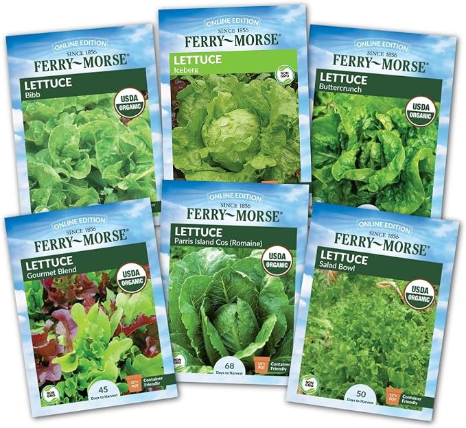 Jiffy Plant Germination Kit - Seedling Starter Trays with Seeds - 36 Cell 2 Pack - Plastic