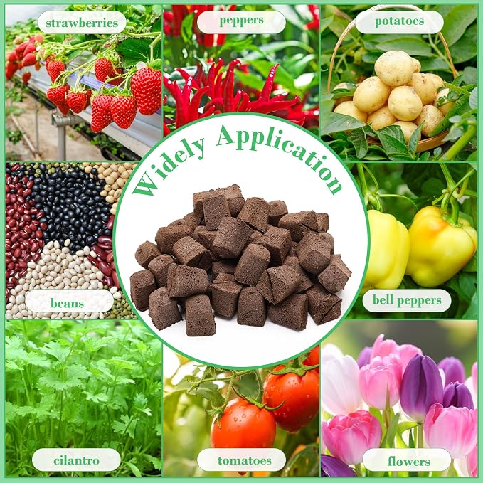 Windspeed 50+10PCS Grow Sponges Square Seed Pods Kit Include 50 Replacement Root Growth Sponges Seed Pods 10 Tags for Plants, Flowers and Vegetables, Pods