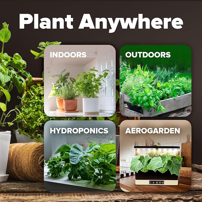 HOME GROWN 15 Variety Survival Seed Vault 8,800+ Heirloom Non-GMO Vegetable Seeds for Planting, High Germination, Complete Garden Starter Kit, Prepper Survival Gear, Indoor Outdoor