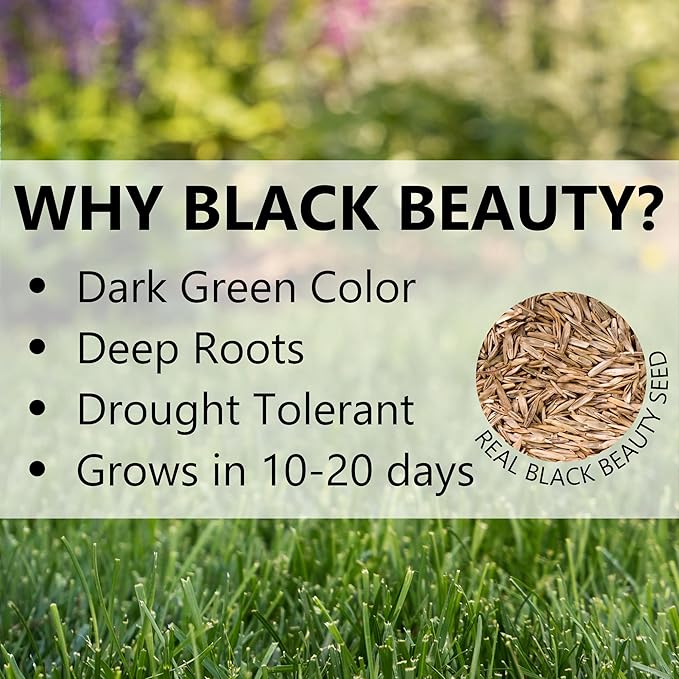Jonathan Green (10410) Black Beauty SeedRoll Grass Seed Mat - Cool Season Lawn Seed, Fertilizer, & Mulch (50 Sq. Ft.)