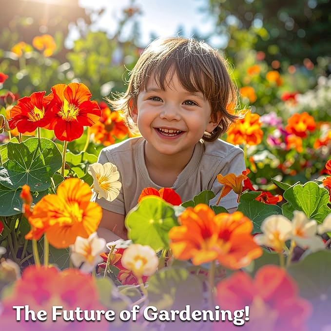 KVITER 75 Mix Jewel Nasturtium Seeds for Planting Outdoors (Tropaeolum Nanum) — Heirloom Seed Packet — Edible Flower Seeds to Plant Outside & Inside in Garden, Containers, Hanging Baskets