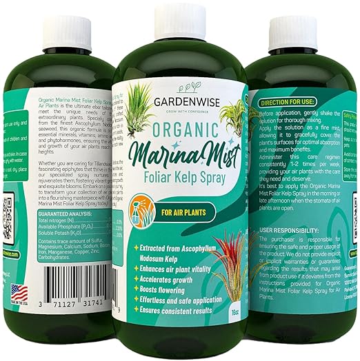 GARDENWISE Organic Marina Mist Kelp Air Plants Fertilizer Spray | Plant Food for Tillandsia Air Plants | Air Plant Mister - Enhances Bloom, Vitality, and Pup Growth (8 OZ)