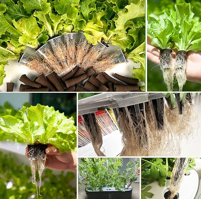 50 Pack Hydroponic Grow Sponges Seed Pods Replacement, Growing System Plant for Seed Plugs Garden Cube Sponges Replacement,Compatible with Aerogarden & Most Hydroponic System,1pc Tweezer