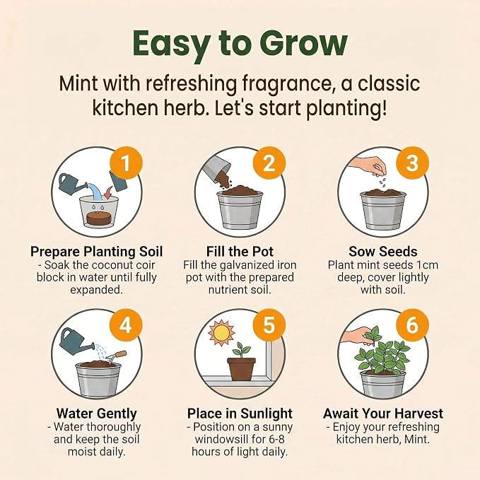 Mint Grow Kit, All-in-One Indoor Herb Garden Kit with Planter, Soil & Seeds, Easy DIY Planting Kit for Kitchen, Grow Your Own Fresh Mint for Tea & Drinks, Beginner Friendly Gardening Gift