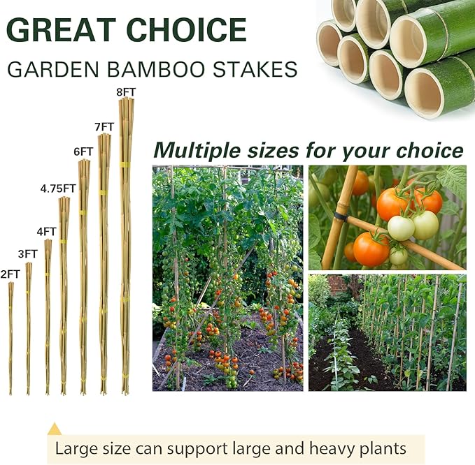 Bamboo Stakes 2FT 35pcs, 24 inch Garden Stakes Multi-Purpose, Bamboo Plant Support Stakes for Beans, Peppers, Flowers, Potted, Maintain the Plant Posture, Strengthen and Stem