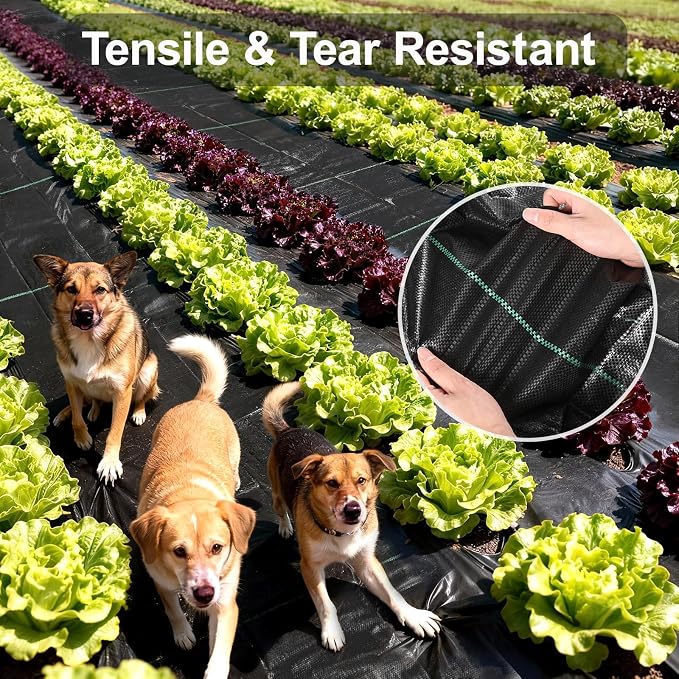 Weed Barrier Landscape Fabric 4FT x 100FT - 3.2oz Heavy Duty Weed Control Mat, High Permeability Woven Geotextile Fabric for Driveway, Gravel, Yard Ground Cover, Greenhouse Gardening