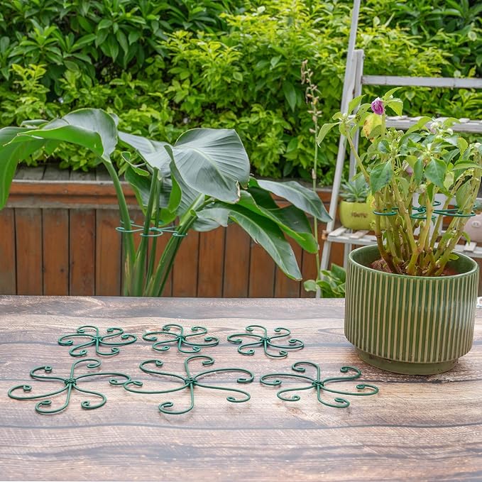 Yohsnor Monstera Plant Stem Support - 5 Pack 6.5"x6.5" Green Metal Stem Stabilizers, Adjustable Ring Clamps for Indoor Plants, Fishbone Cactus, Turtle Shell Bamboo & Climbing Vines