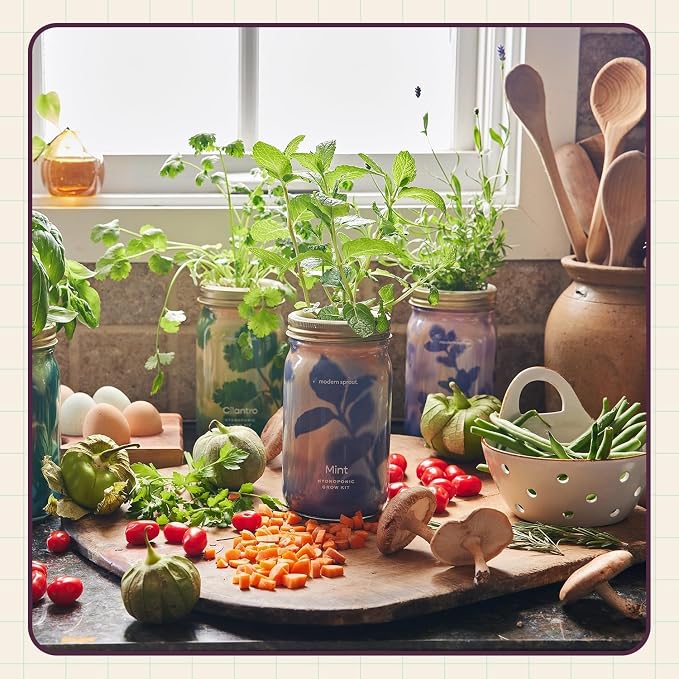 Modern Sprout Mason Garden Jar - Self-Watering Hydroponics Growing System Kit with Organic Herb Seeds - Jar Planter for Indoor Herb Garden - Seed Starter Kit - Gift for Mother's Day - Parsley