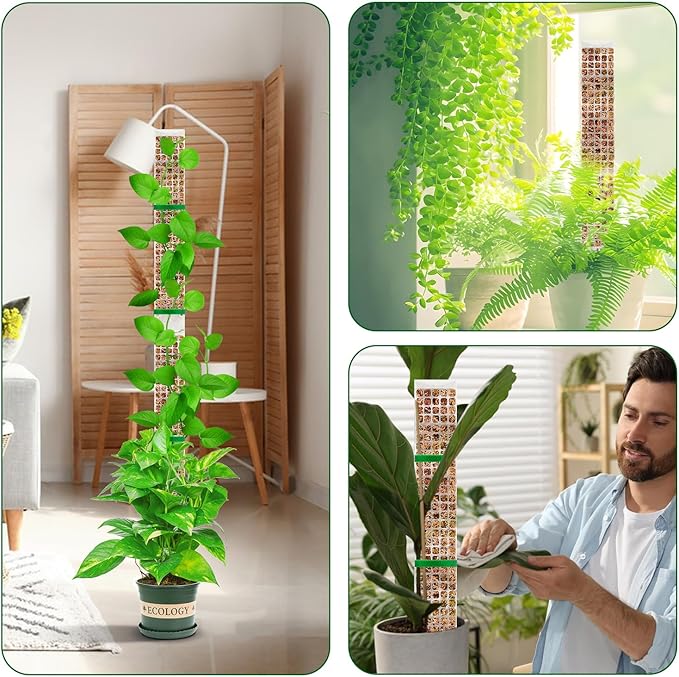 YSKS 6 Pcs 24-inch Plastic Moss Poles for Plants ,Moss Poles for Climbing Plants, Indoor Plant Support Work with Sphagnum muss