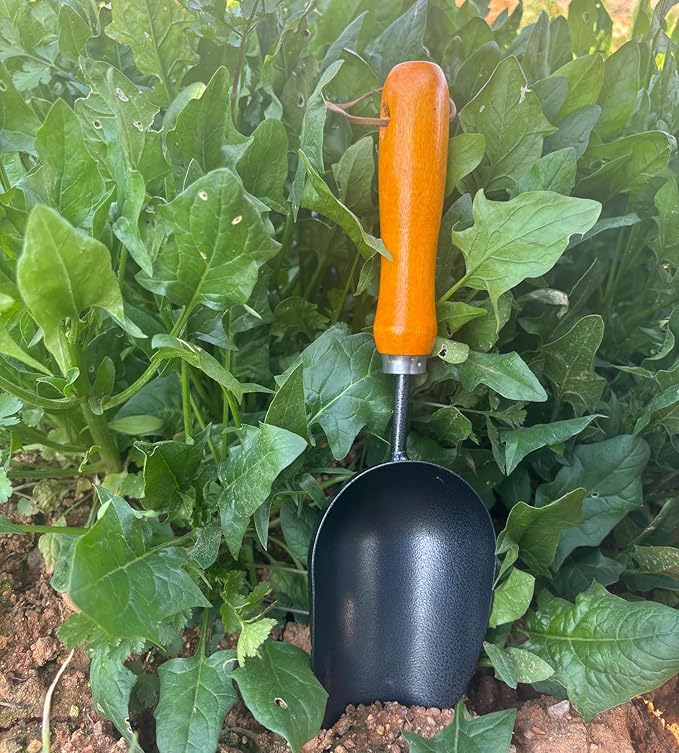 12.6ββ Garden Hand Trowel, Soil Scoop Wooden Handle, Stainless Steel Potting Shovel Spoon, for Flower Vegetables Soil Transplanting, Weeding, Moving, Digging, Planting Garden Plant