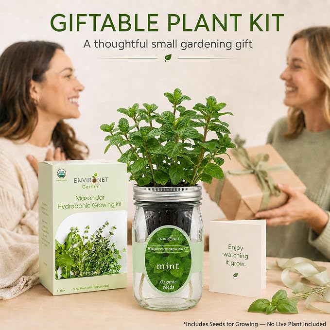Hydroponic Herb Growing Kit, Self-Watering Mason Jar Herb Garden Starter Kit Indoor, Window Herbs Garden, Grow Your Own Herbs from Organic Seeds (Mint)