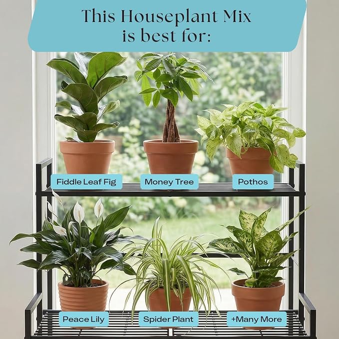 Rosy Soil Houseplant Potting Soil - 2 x 8 qrt, Organic Indoor Potting Mix with Biochar and Worm Castings for Monstera, Pothos, Tropical Indoor Plants - Peat Free - 8qt, Pack of 2