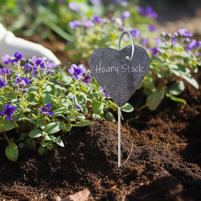 20Pack Silver Plant Label Hooks,Rust-Proof Garden Stake Markers, 30cm/11.81in Plant Sign Supports for Flowers, Planters, and Containers.