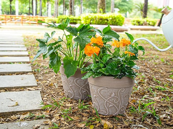 Melphoe Plastic Plant Pots Indoor with Drainage & Saucer, 2Pack 8 inch Flower Pots Outdoor Planters for Indoor Plants Garden Home Decor Cactus Succulent, (NOT-Terracotta) Vine-Embossed
