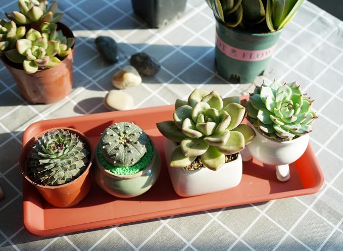 VUWEZ 2 Pack Plastic Plant Trays - Rectangular 17 18 inch, Indoor/Outdoor Plant Water Drip Trays for Flower Planters, Windowsill (7.8 x 17.5'', Terracotta)