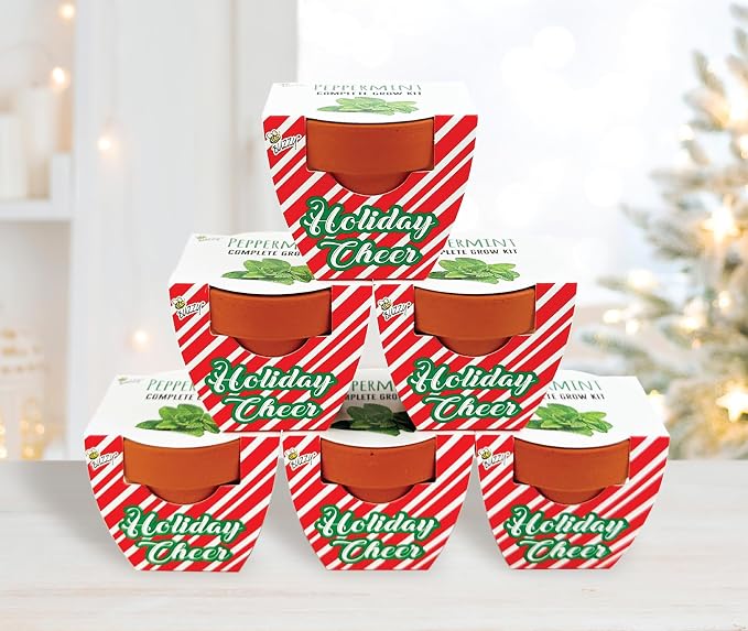 BUZZY Seeds Holiday Candy Cane Mini Terracotta Grow Pots, 6-Pack Peppermint Seeds, Indoor Plant Starter Kit, Stocking Stuffers, Party Favors