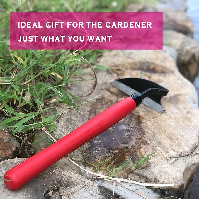 Japanese Weeding Hoe Gardening Tools 13.5-Inch Weed Remover Tool High-Carbon Steel One-Piece Molding with Solid Wood Handle(Red)