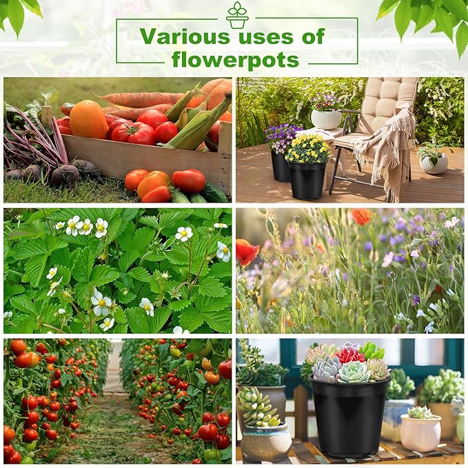 10 Pack1 Gallon Pots for Plants, 1 Gallon Plastic Nursery Pot with Drainage Holes, Sturdy Plastic Plant Pots for Nursery Garden, Flowers, Succulent Outdoor Indoor (Black, 1 Gal- 10 Pack)