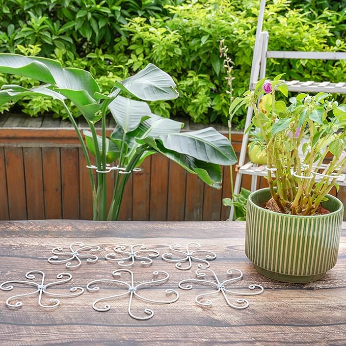 Yohsnor 6.5 * 6.5in Monstera Plant Support Hook 5PCS - Durable Stabilizer & Leaf Holder for Indoor Plants, Flexible Installation & Soft Grip Design - Perfect for Fishbone Cactus and Other Houseplants